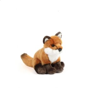 Renard Petit Modèle