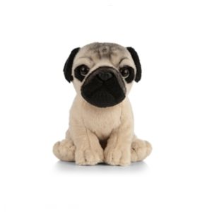 Chien Carlin Chiot