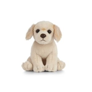 Chien Golden Retriever Chiot