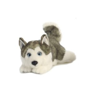 Husky