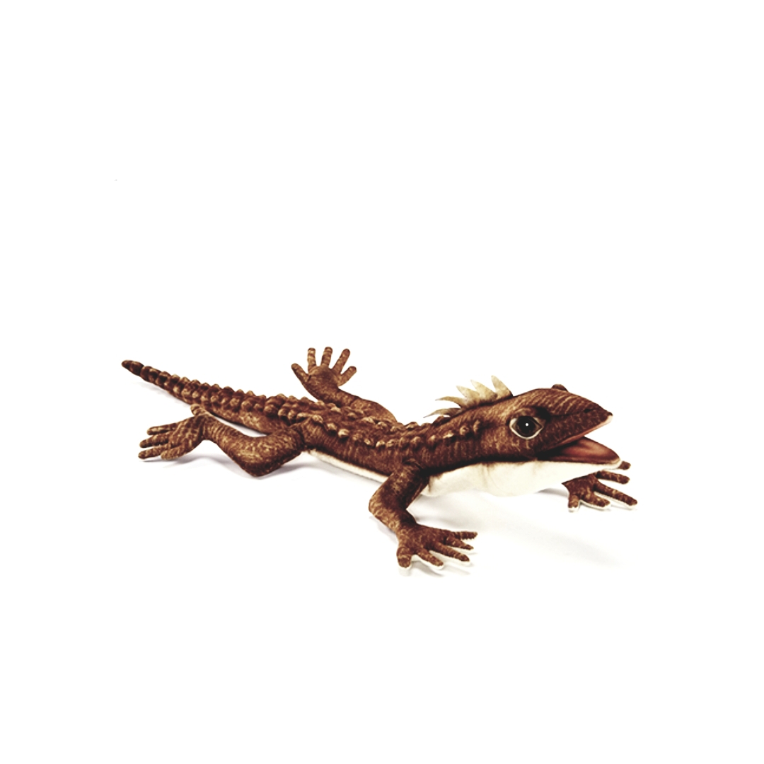 Lézard Tuatara