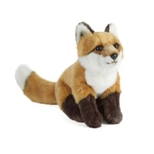 Renard