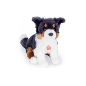 Chien Border Collie Tricolore