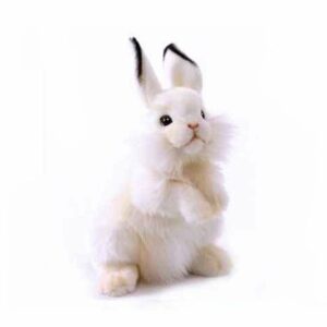 Lapin Blanc Dressé
