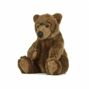 Ours Brun