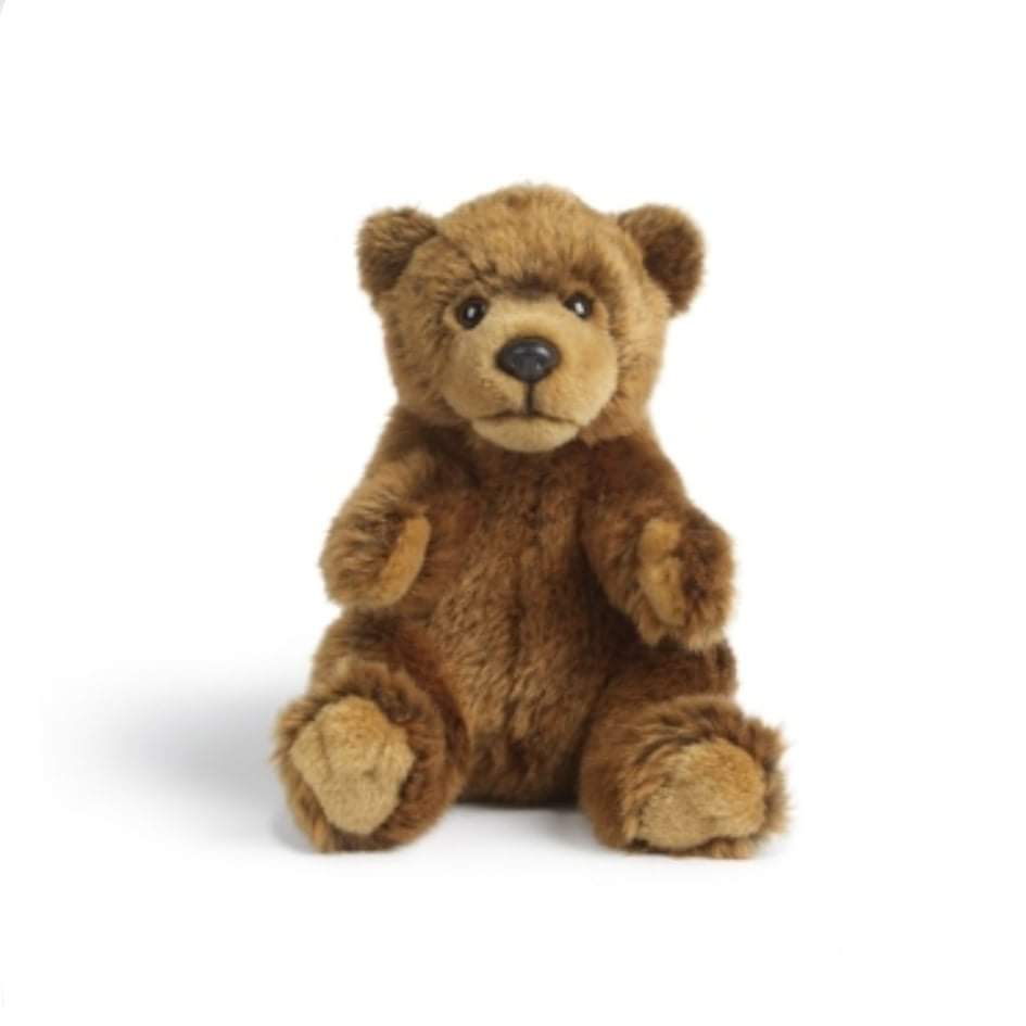 Ourson Brun