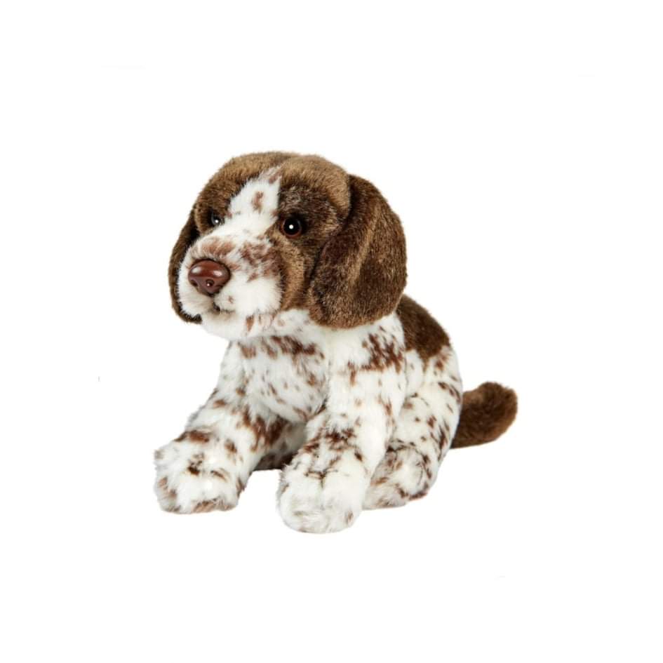 Chien Pointer
