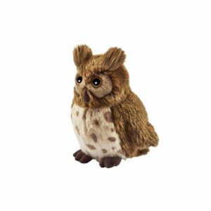 Hibou