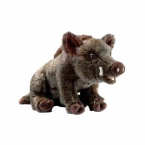 Sanglier