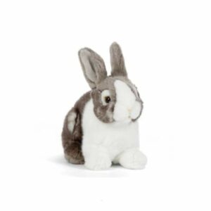 Lapin Nain Gris et Blanc