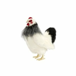Poule Naine Noire et Blanche
