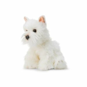 Westie