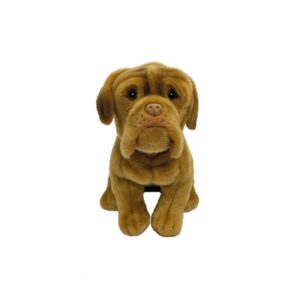 Chien Dogue de Bordeaux