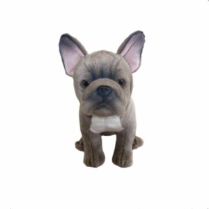 Chien Bulldog Français Gris