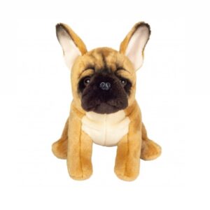 Chien Bulldog Français Fauve