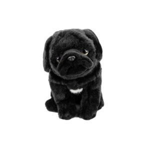 Chien Carlin Noir