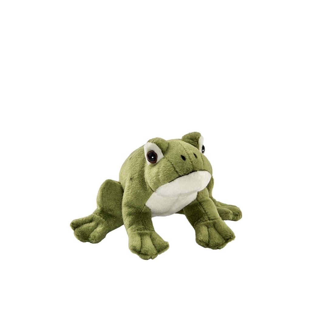Grenouille