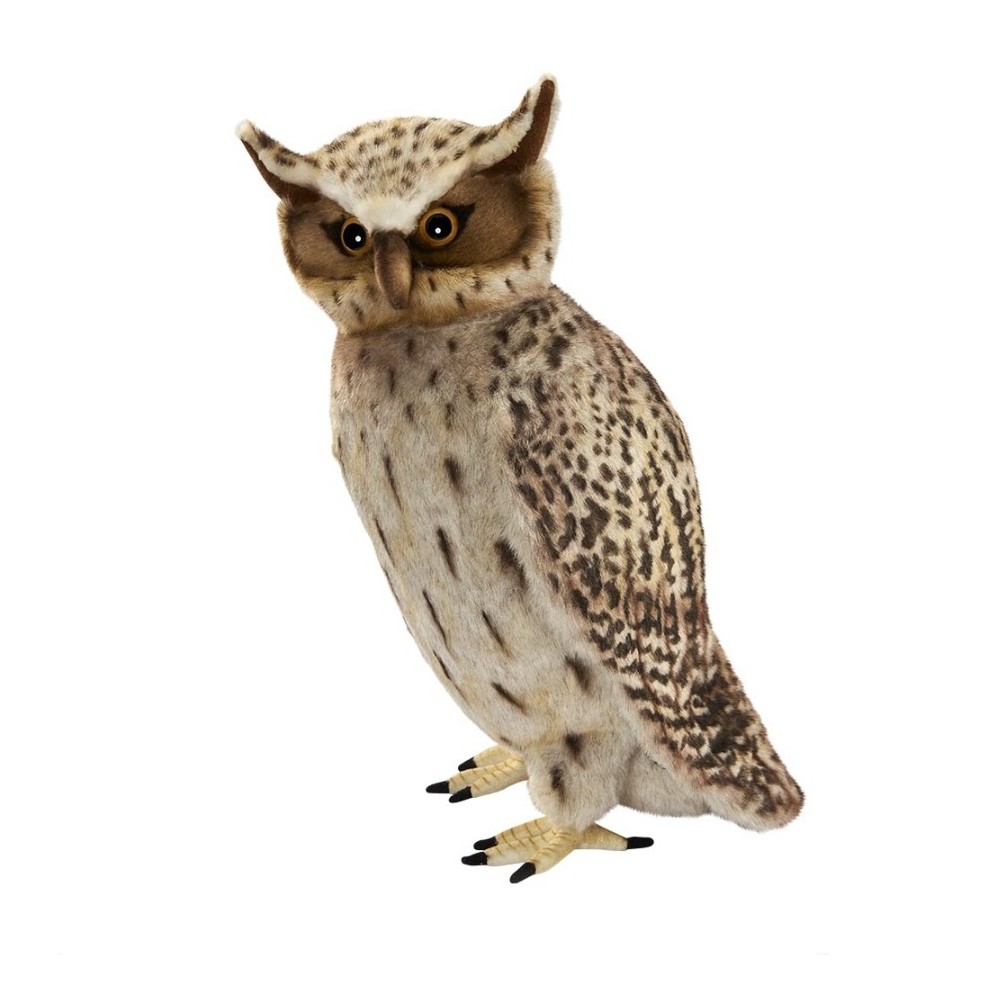 Hibou