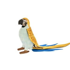 Perroquet Jaune et Bleu