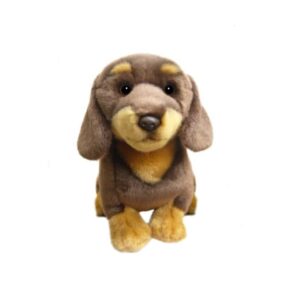 Chien Teckel Brun et Feu