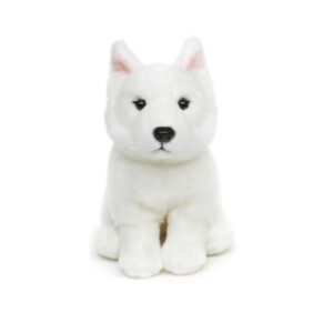 Chien Berger Suisse Blanc