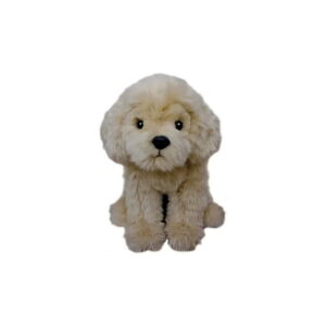Chien Doodle Beige