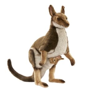 Kangourou