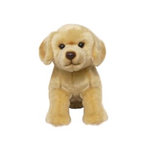 Chien Labrador Beige