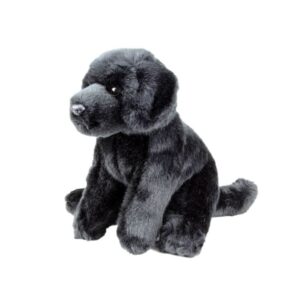 Chien Labrador Noir