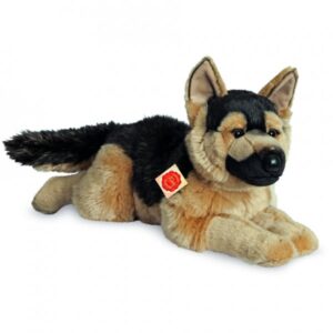 Chien Malinois Couché