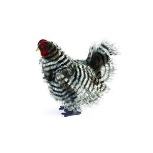 Poule Naine Japonaise Grise