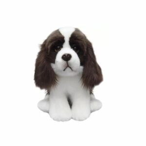 Chien Springer Anglais
