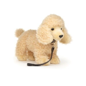 Chien Caniche Beige avec Laisse