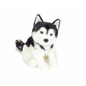 Chien Husky