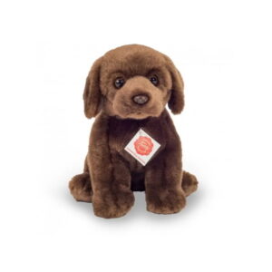 Chien Labrador Chocolat