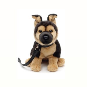 Chien Malinois avec Laisse