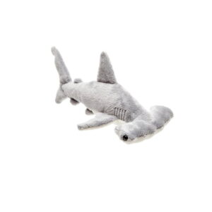 Requin Marteau