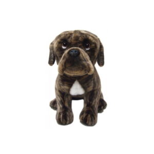 Chien Boxer Bringé