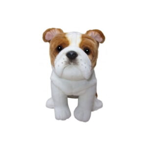 Chien Bulldog Anglais