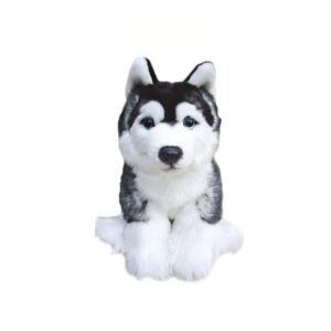 Chien Husky