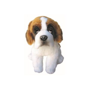 Chien Saint Bernard