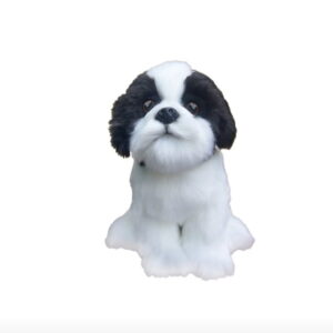 Chien Shih-Tzu Beige Noir et Blanc