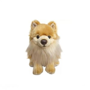 Chien Loulou de Poméranie