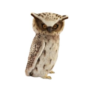 Hibou