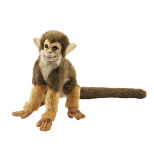 Singe Ecureuil