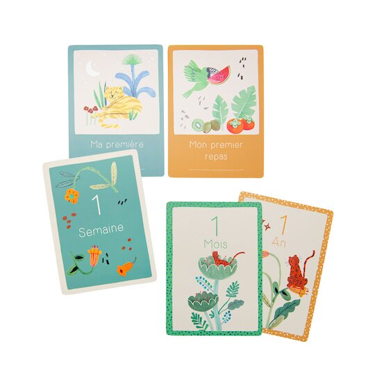 MR - Cartes Mes 12 Premiers Mois - Collection La Forêt Mawa